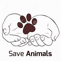 Save The Animals