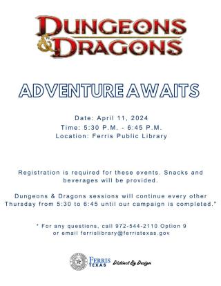 Dungeons & Dragons Session at the Library